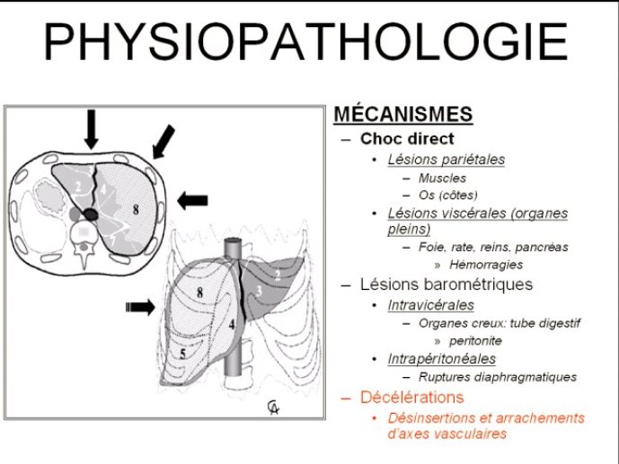 diapositive8.jpg