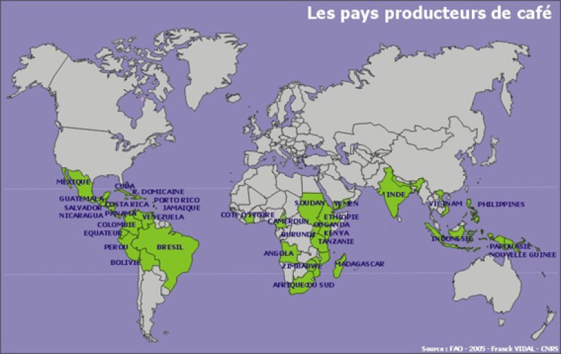 Les pays producteurs de café