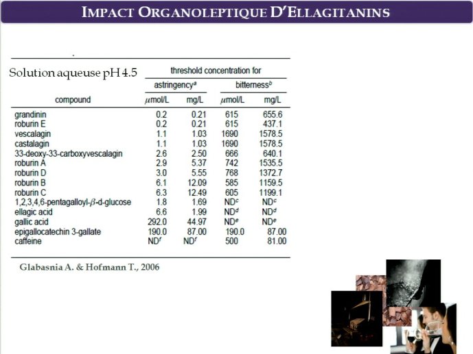 slide_0008_full.jpg