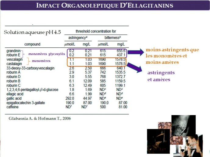 slide_0010_full.jpg
