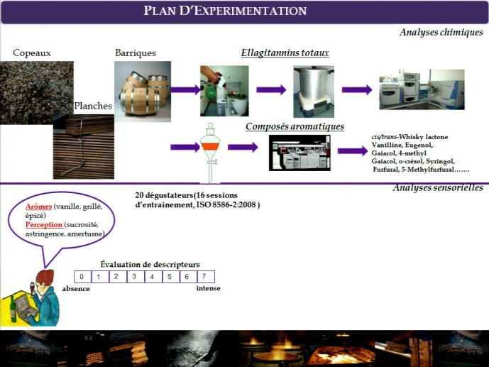 slide_0012_full.jpg