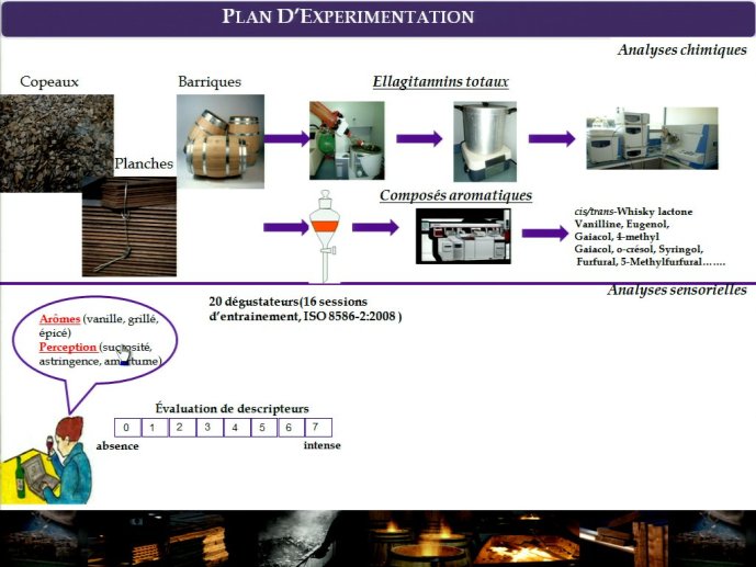 slide_0014_full.jpg