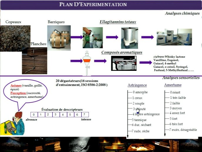slide_0018_full.jpg
