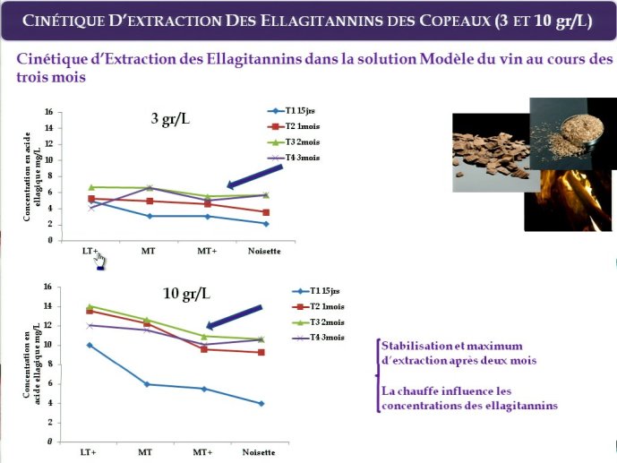 slide_0031_full.jpg