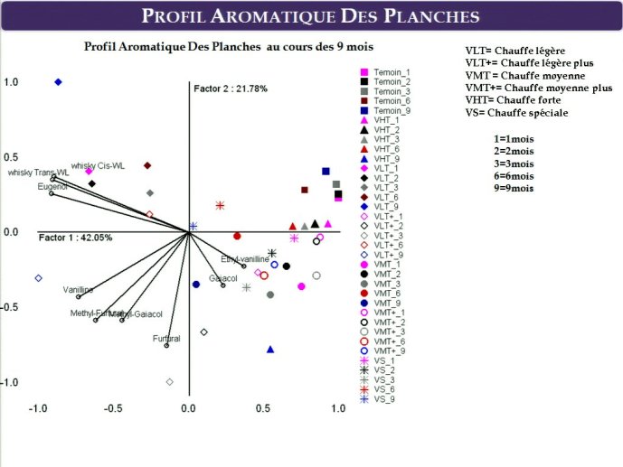 slide_0063_full.jpg