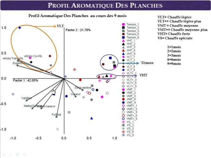 slide_0073_full.jpg