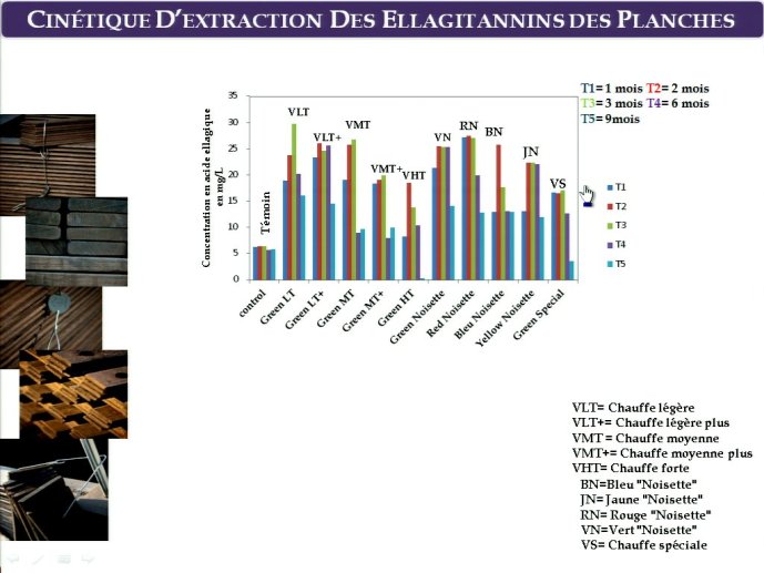 slide_0078_full.jpg