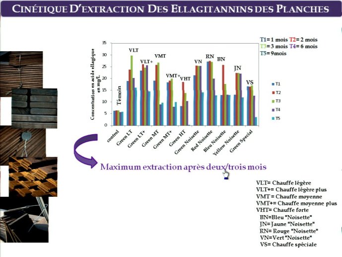 slide_0081_full.jpg