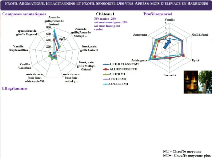 slide_0096_full.jpg