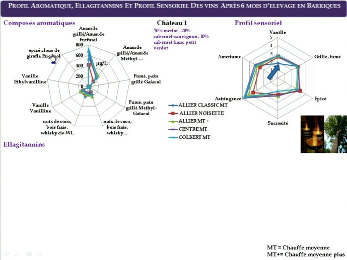 slide_0099_full.jpg
