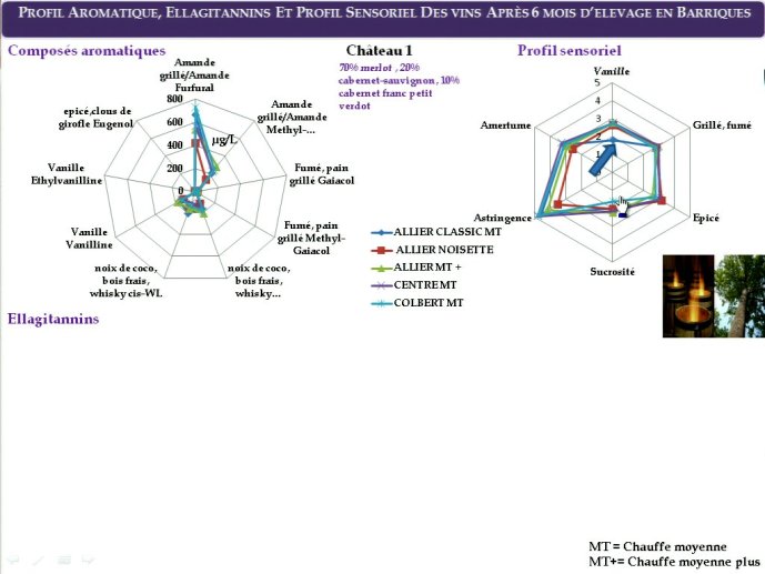slide_0103_full.jpg