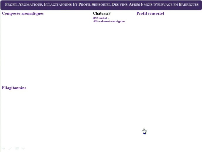 slide_0121_full.jpg