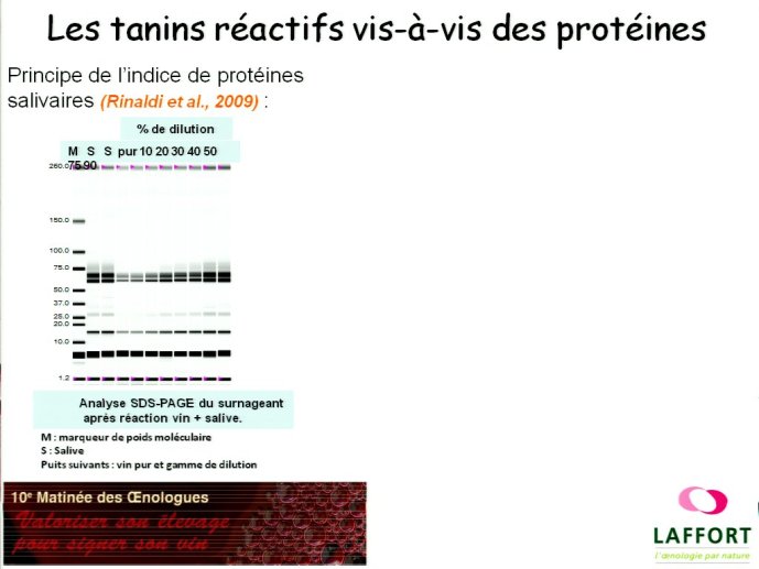slide_0061_full.jpg