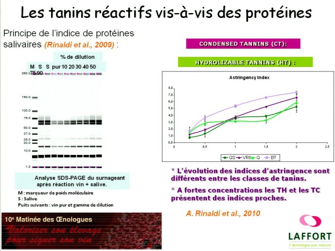 slide_0062_full.jpg