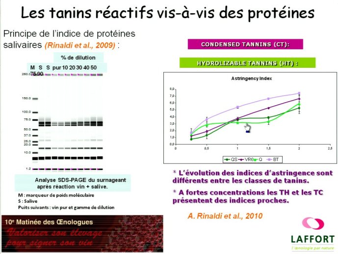 slide_0067_full.jpg