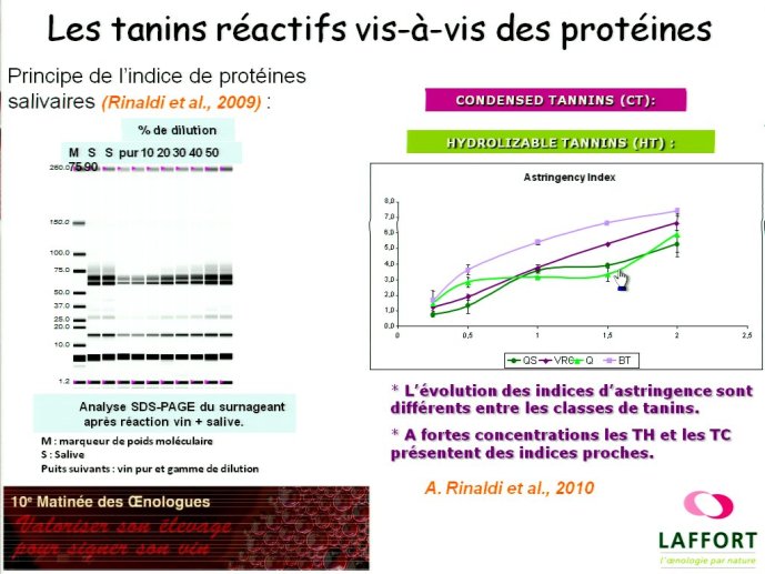 slide_0072_full.jpg