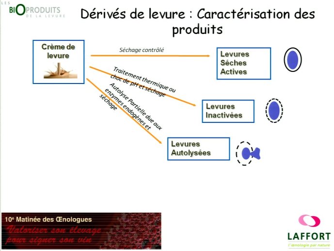slide_0085_full.jpg