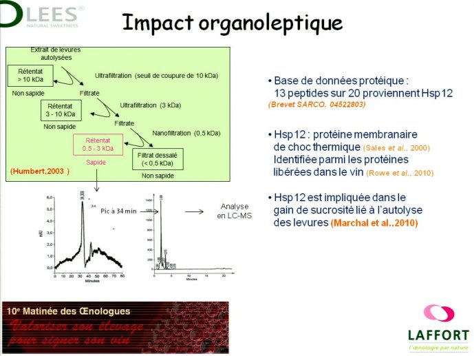 slide_0109_full.jpg