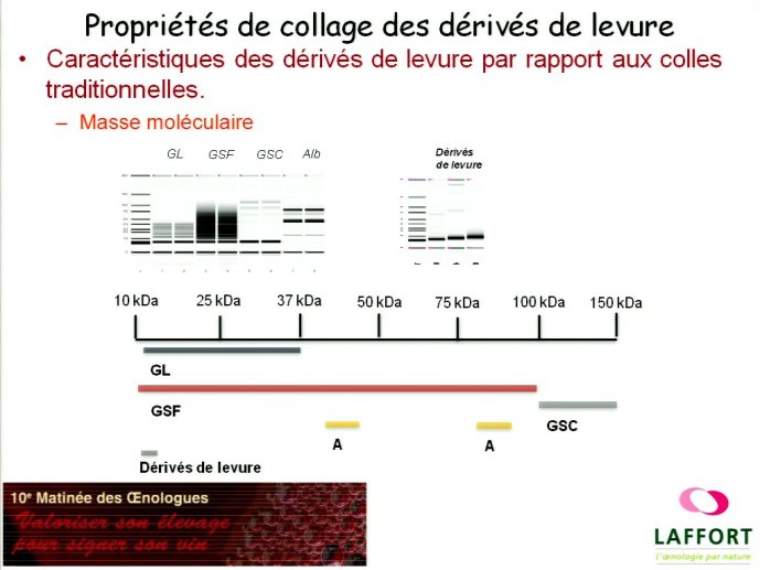 slide_0113_full.jpg