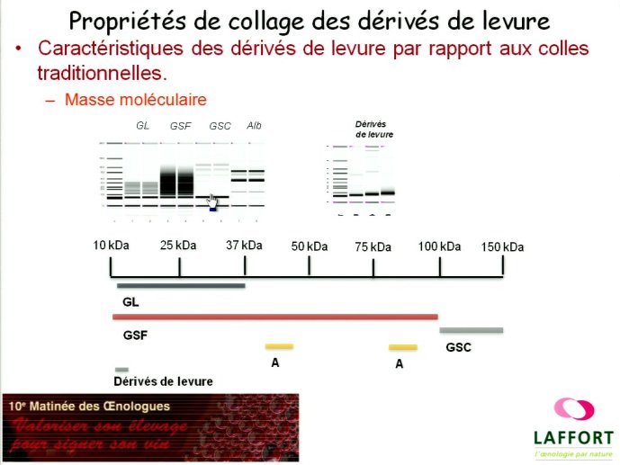 slide_0117_full.jpg