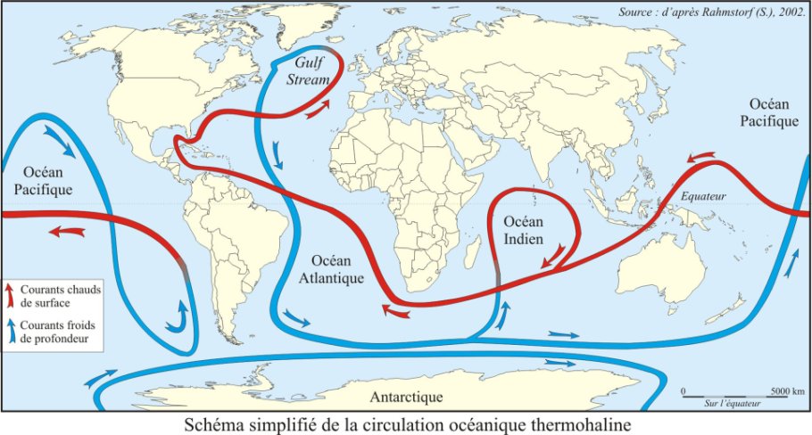 Thermohaline