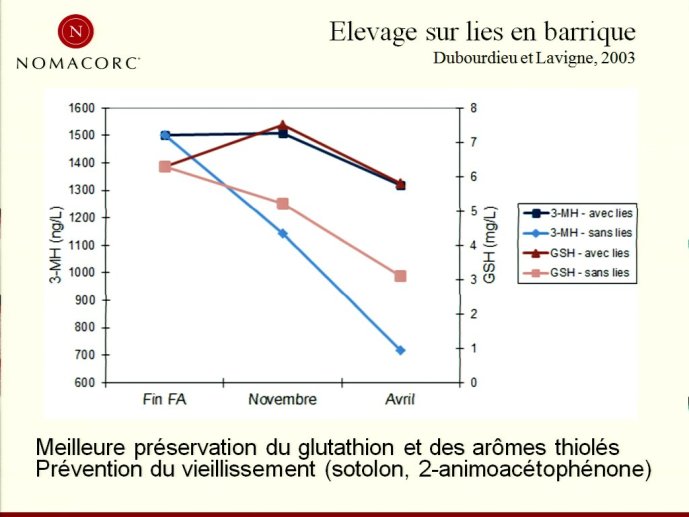 slide_0020_full.jpg