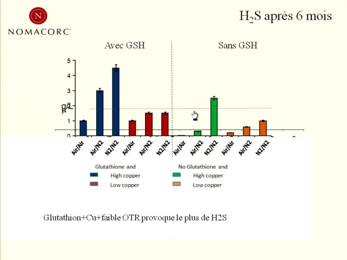 slide_0048_full.jpg