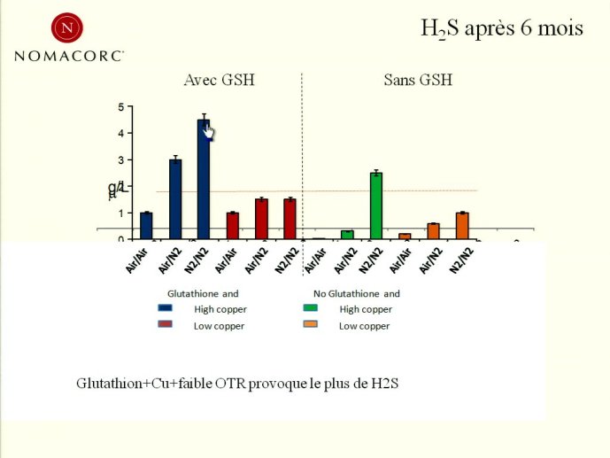 slide_0049_full.jpg