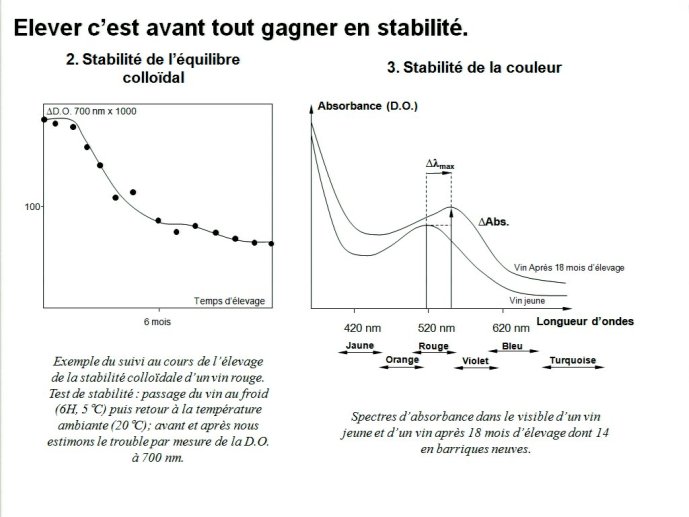 slide_0007_full.jpg