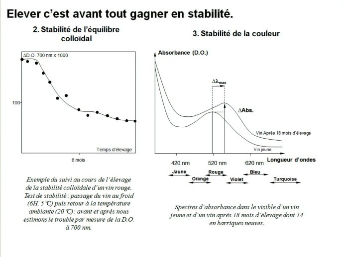 slide_0011_full.jpg