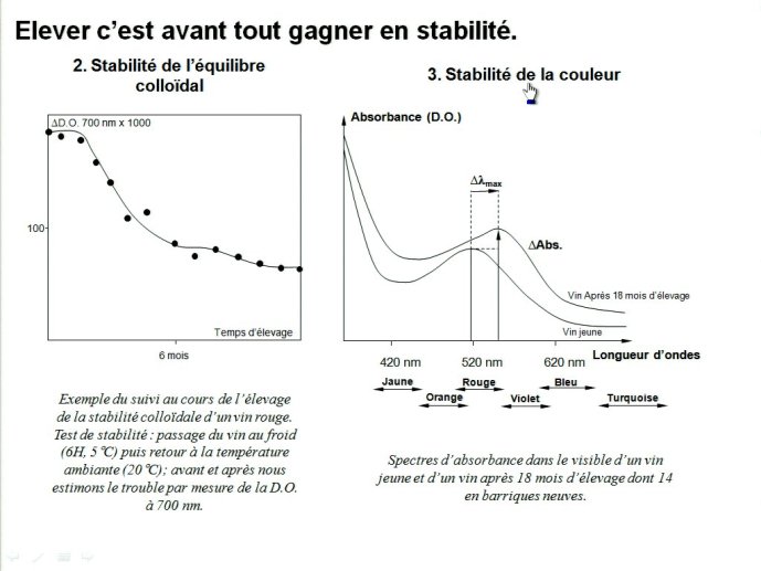 slide_0012_full.jpg