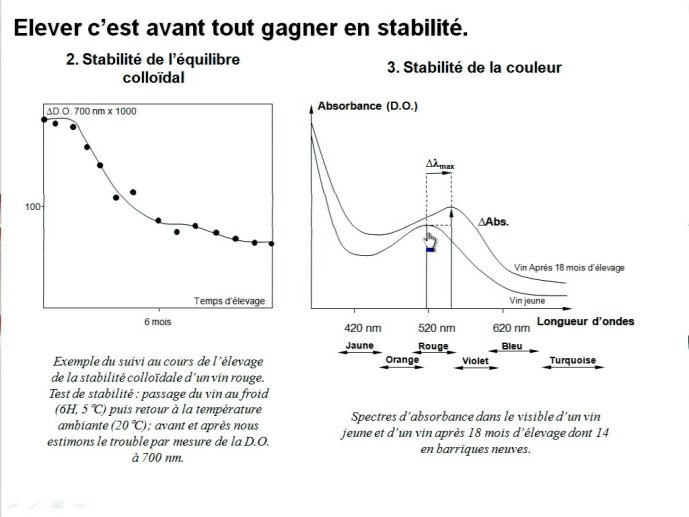 slide_0013_full.jpg