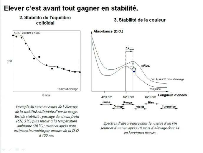 slide_0015_full.jpg