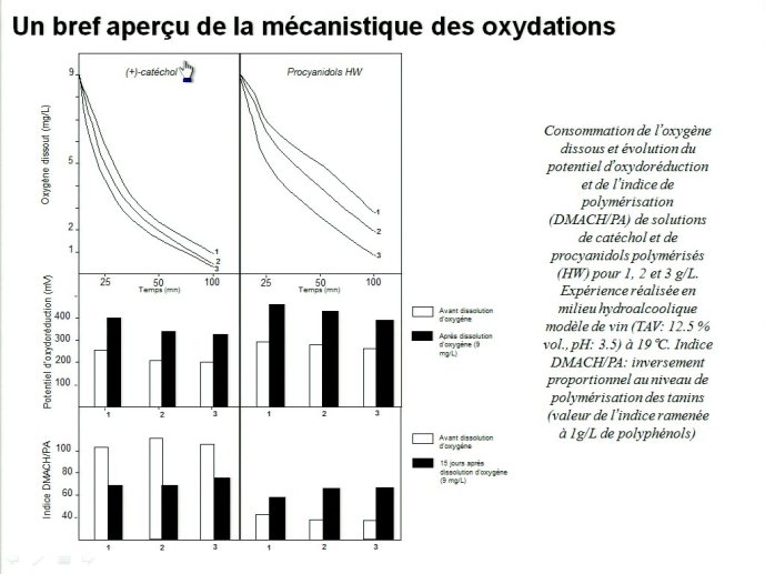slide_0025_full.jpg