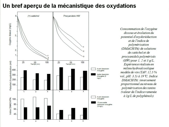 slide_0026_full.jpg