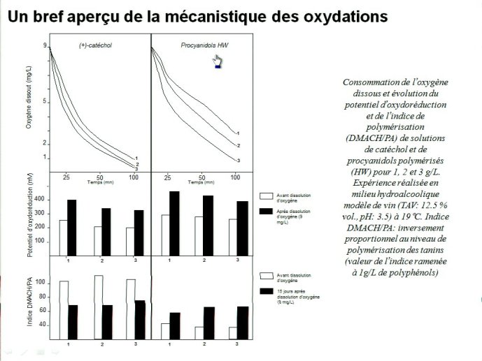slide_0027_full.jpg