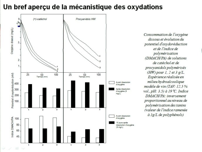 slide_0029_full.jpg