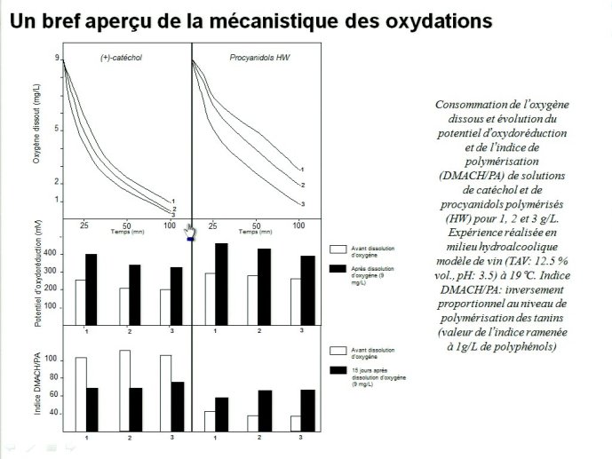 slide_0030_full.jpg