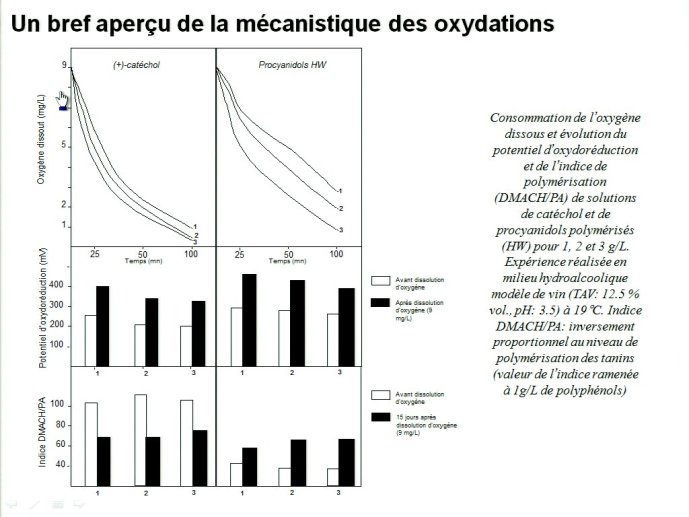 slide_0031_full.jpg