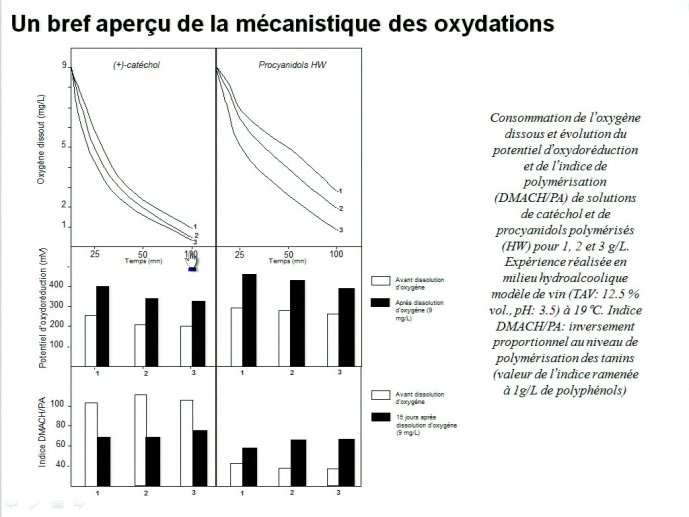 slide_0032_full.jpg