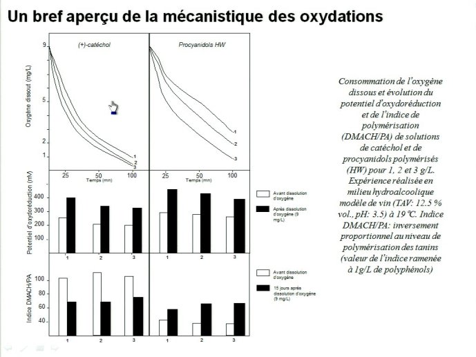 slide_0033_full.jpg