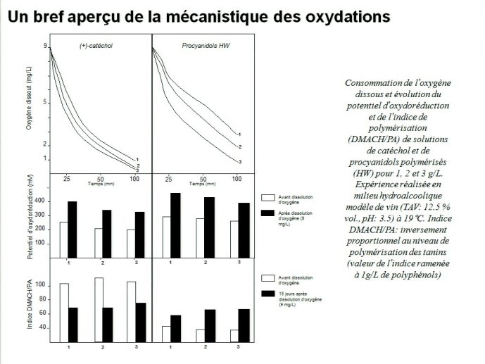 slide_0034_full.jpg