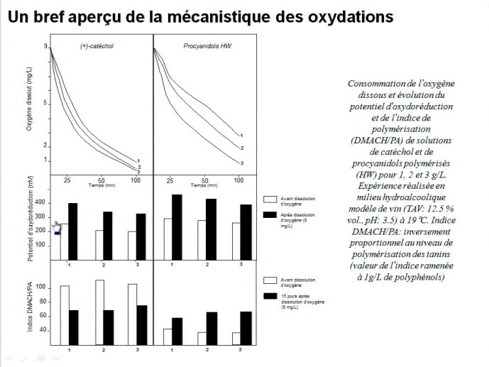slide_0035_full.jpg
