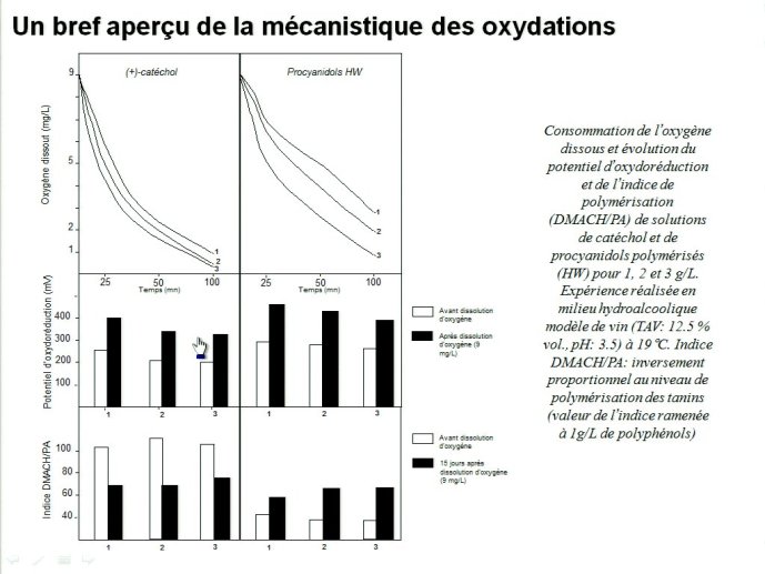 slide_0036_full.jpg