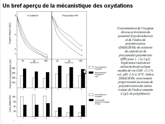 slide_0037_full.jpg