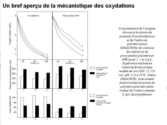 slide_0038_full.jpg