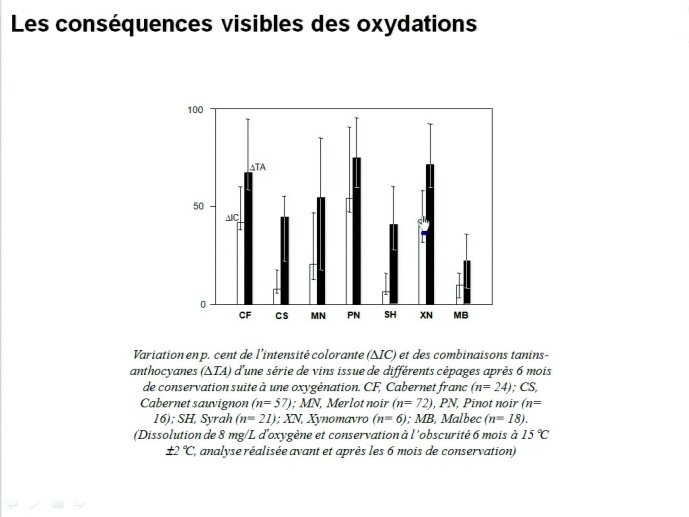 slide_0051_full.jpg