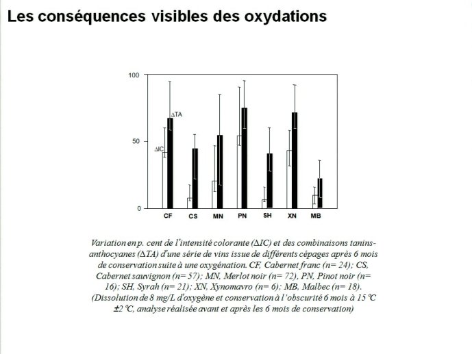 slide_0056_full.jpg