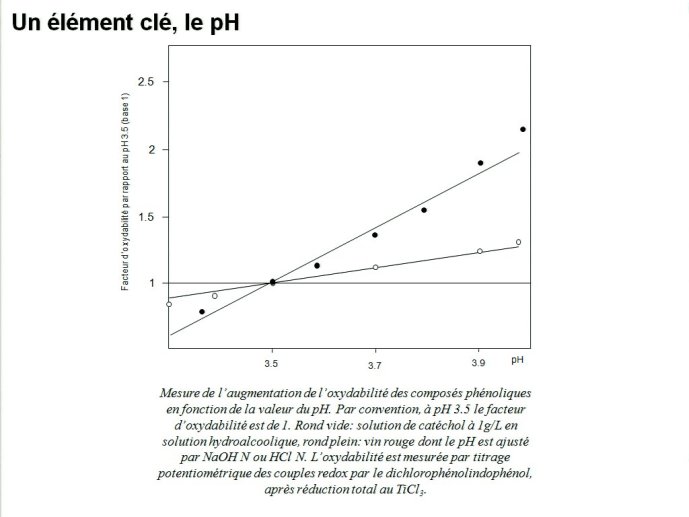 slide_0066_full.jpg