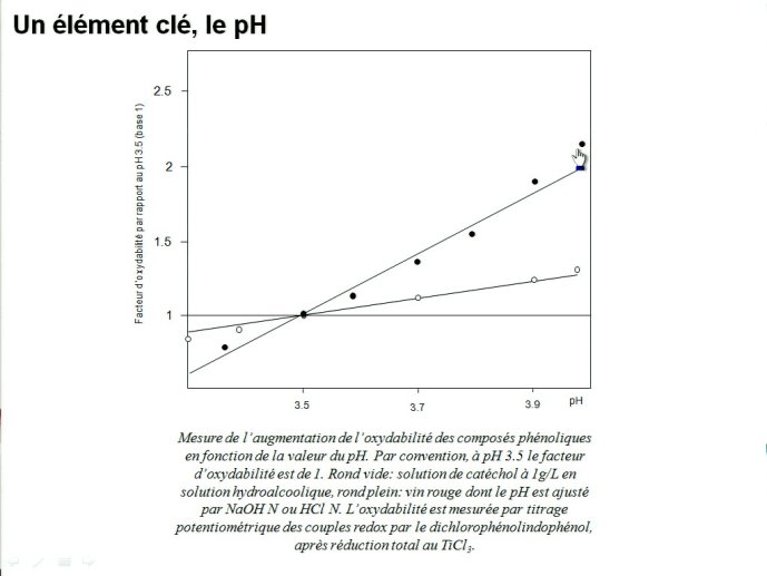 slide_0074_full.jpg